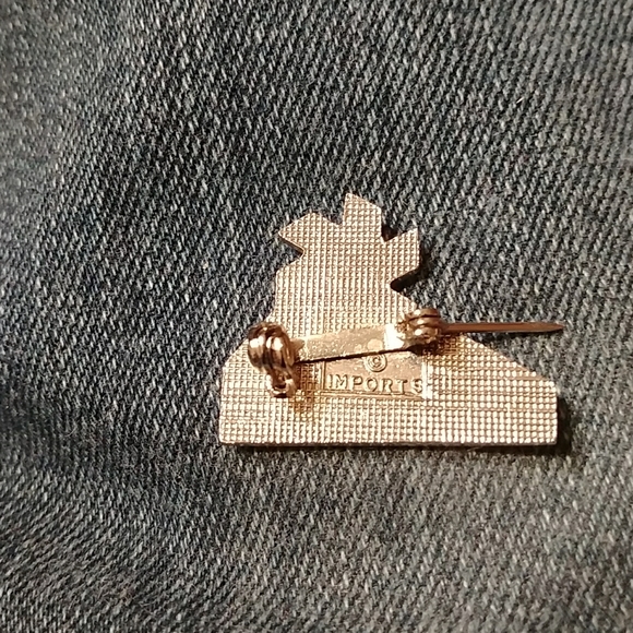 Vintage Ski Resort Pin - Picture 3 of 3
